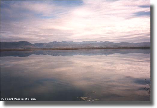 Mirror Sky