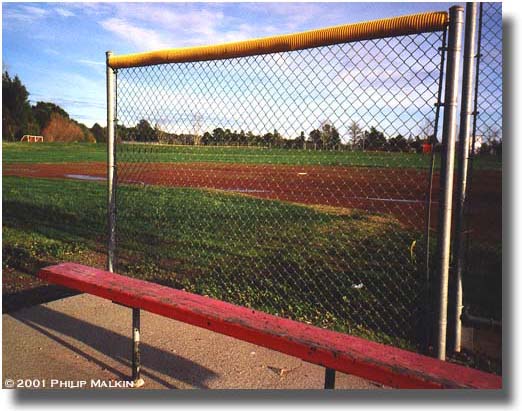 Feild